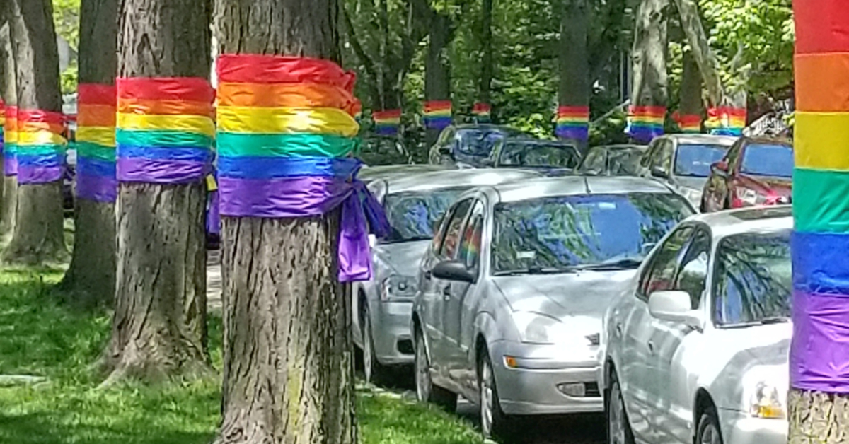 Andersonville’s Pride Trees 'bring a sense of unity', draw social media